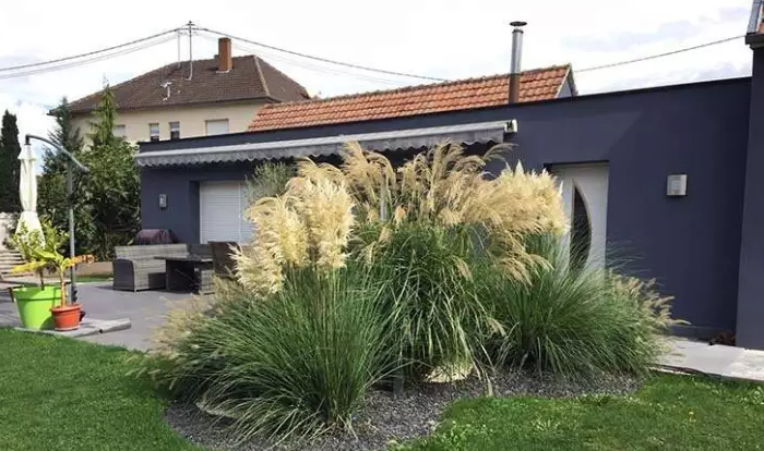 Capture d'écran 2026 04 01 145922