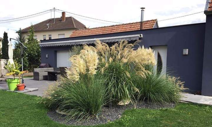 Aménagement Extérieur, Sélestat